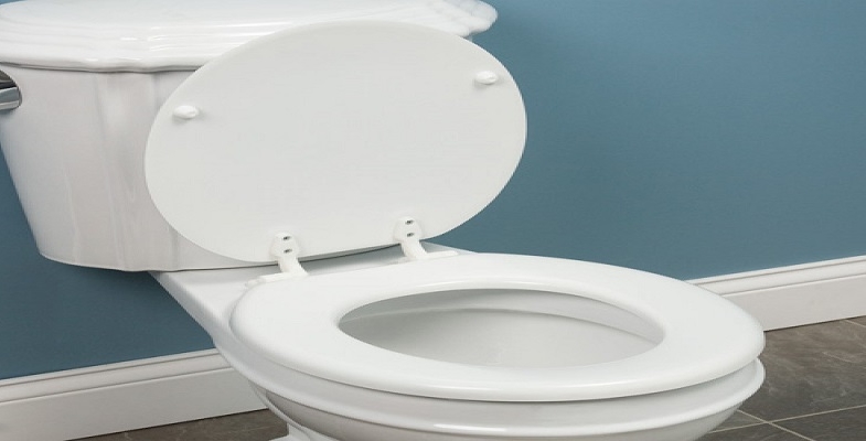 Toilet seat