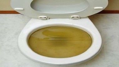 How to Unclog a Clogged Toilet